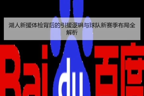 湖人新援体检背后的引援逻辑与球队新赛季布局全解析