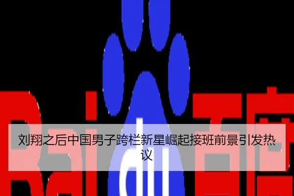 刘翔之后中国男子跨栏新星崛起接班前景引发热议